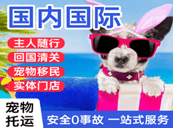 长水航空快运国际宠物托运 【国